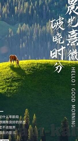 篮球世界杯男篮分组-篮球世界杯男篮分组，竞技舞台上的新挑战与机遇